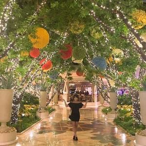 Meet your Posher, Amy yeun jae